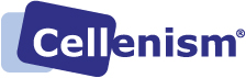 Culture Media