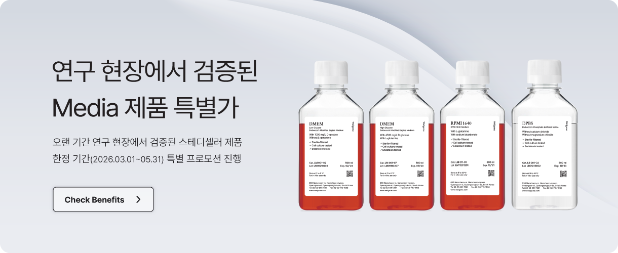 Media 특별 할인 이벤트